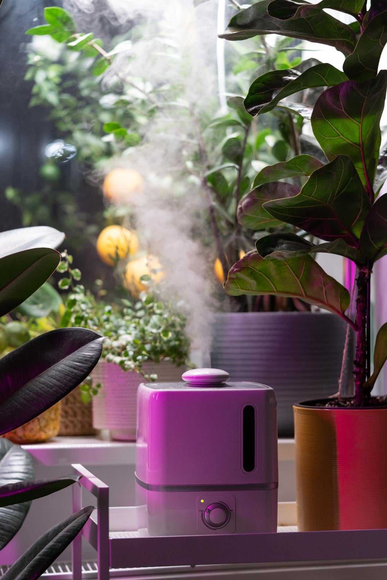 Home Gadgets